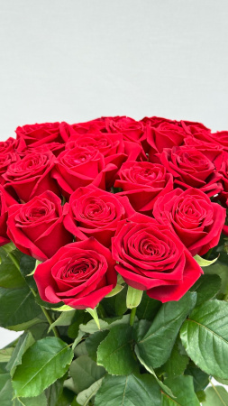 Роза  Тепличная 